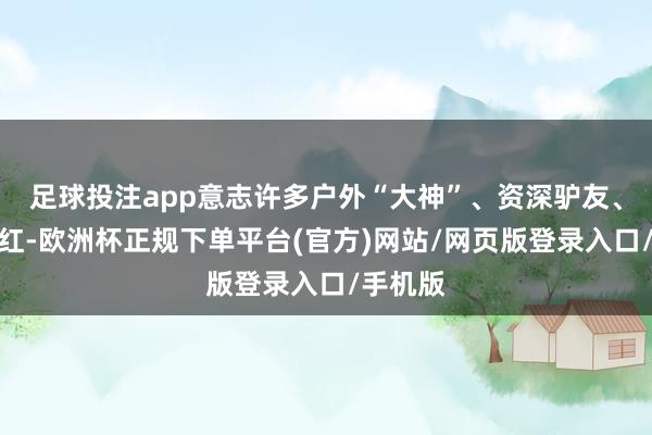 足球投注app意志许多户外“大神”、资深驴友、旅游网红-欧洲杯正规下单平台(官方)网站/网页版登录入口/手机版