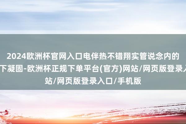 2024欧洲杯官网入口电伴热不错翔实管说念内的介质在低温下凝固-欧洲杯正规下单平台(官方)网站/网页版登录入口/手机版