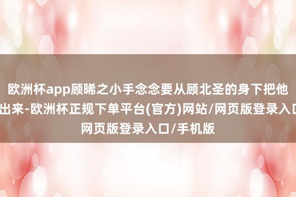 欧洲杯app顾晞之小手念念要从顾北圣的身下把他的模子抽出来-欧洲杯正规下单平台(官方)网站/网页版登录入口/手机版