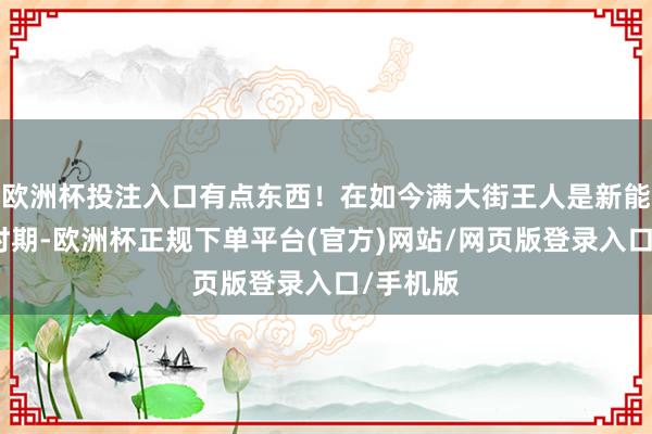 欧洲杯投注入口有点东西！在如今满大街王人是新能源车的时期-欧洲杯正规下单平台(官方)网站/网页版登录入口/手机版